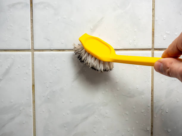Best Black Mold Removal  in Wilmington, NC
